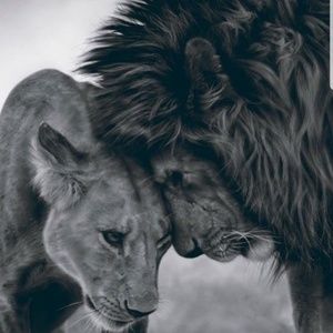 Meet your Posher, Tamula